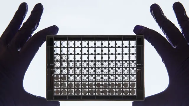 Khi một tế bào ung thư tiến hóa, nó tiếp tục gia tăng sự đa dạng về gene