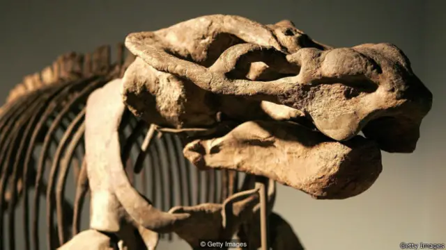 जानवरों का दूध