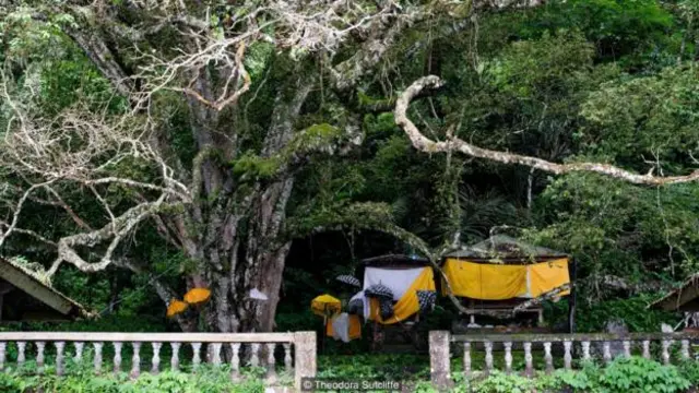 遗体由色彩鲜明的雨伞遮挡着(图片来源:Theodora Sutcliffe)