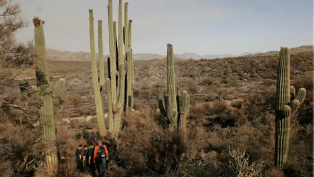 桑德斯对广袤的沙漠总是激情满怀（图片来源：Getty Images）
