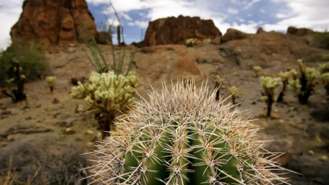 （图片来源：Getty Images）