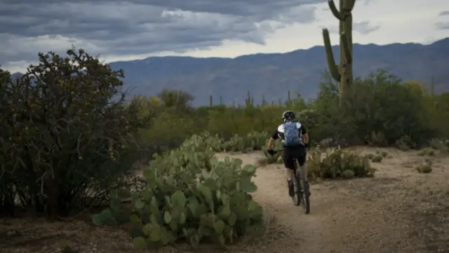（图片来源：Getty Images）