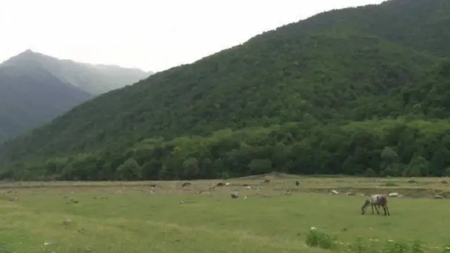 تشتهر منطقة بانكيسي جورج بمناظرها الخلابة، لكنها اكتسبت سمعة باعتبارها ملاذا للمتشددين الإسلاميين