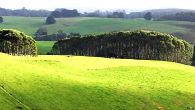 ऑस्ट्रेलिया