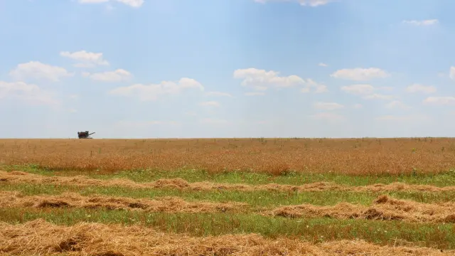До 114-го округу входять переважно сільські райони півночі Луганщини