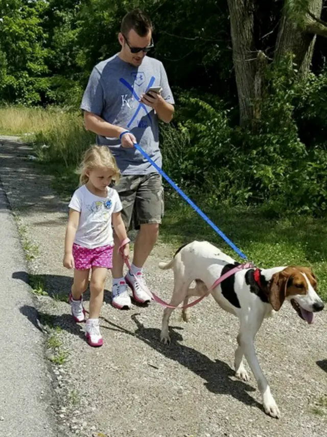 امریکہ میں ایک تنظیم لوگوں کو پوکے مون کھیلنے کے دوران اپنے جانور ٹہلانے کی تحریک دیتی ہے