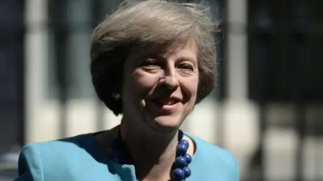 ٹریسا مے کسی جلد بازی میں نہیں ہیں