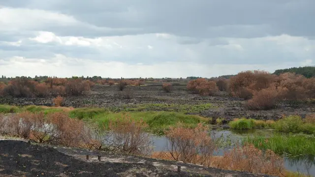 По словам министра охраны окружающей среды, Чернобыльская зона может стать центром альтернативной энергетики в Украине