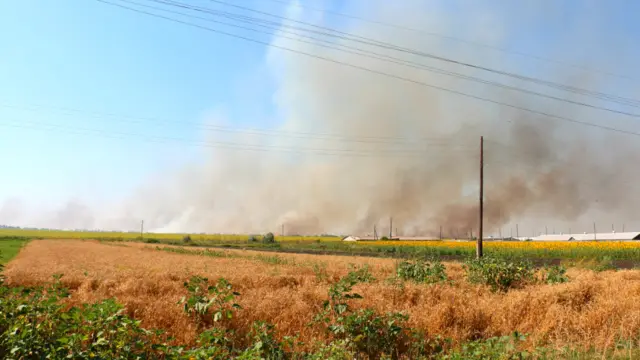 Вибори прийшлися на період польових пожеж, викликаних тривалою спекою.