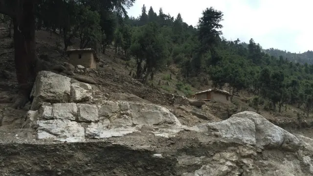 حکومت کی طرف سے مقامی لوگوں کو جنگلات کاٹنے کے پرمٹ یا اجازت نامے بھی جاری کیے گئے ہیں جس کے تحت وہ مکان کی تعمیر اور دیگر ضرورت کےلیے دیار کے درخت ایک خاص مقدار میں کاٹ سکتا ہے