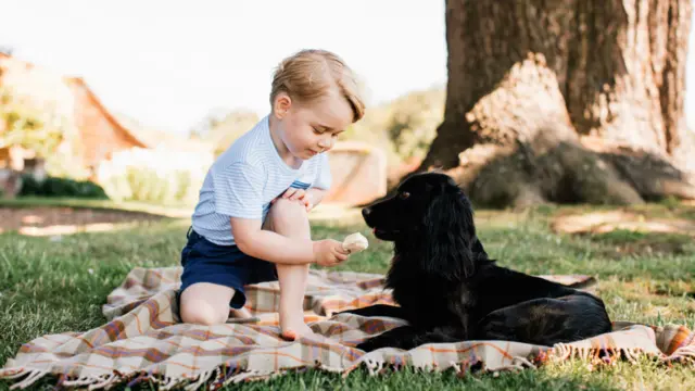 英国防止虐待动物皇家协会（RSPCA）提醒不要用冰激凌喂狗，因为巧克力对狗有毒，牛奶和糖制品会造成狗消化不良。