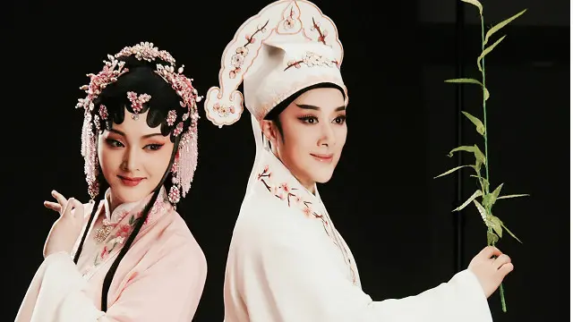 茅威涛一人分饰两角