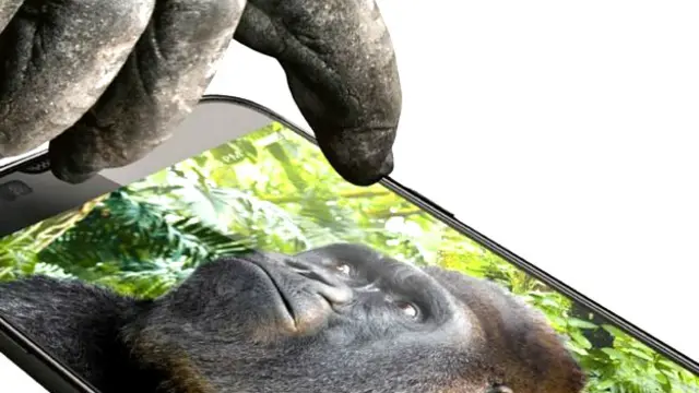 गोरिल्ला ग्लास 