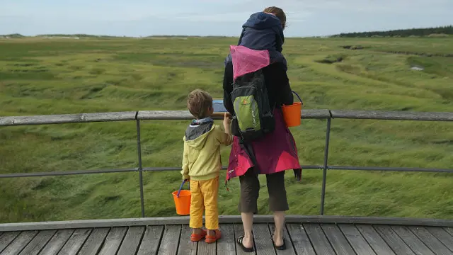 Як багато треба знати колегам про ваших дітей?