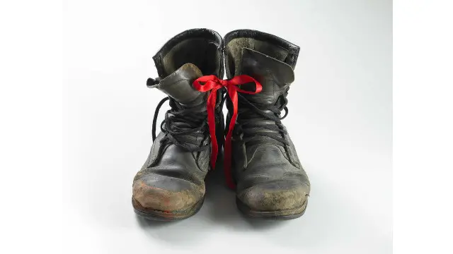 شادی قدیریان، ایران