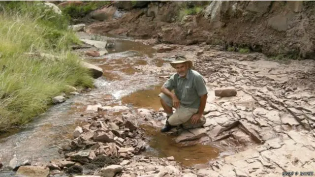 یہ ڈھانچہ جنوبی افریقہ کےمغربی صوبے سے ایک ندی کی تہہ سے ماہر رکازیات بلی ڈی کلرک نے دریافت کیا تھا