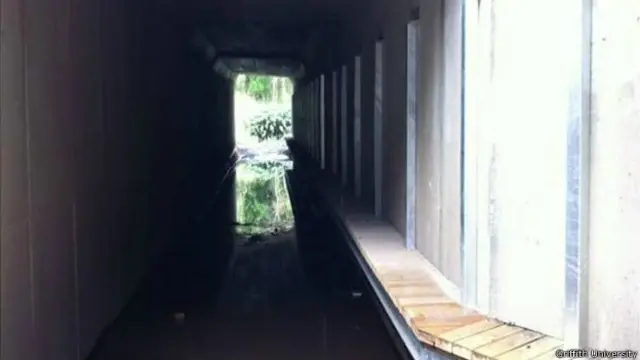 В проходящие под шоссе водоспуски были встроены специальные мостки, которые позволяют коалам не попадать в воду 