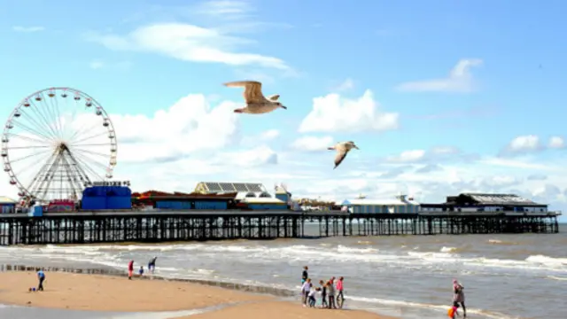 英國大多數鷗鳥都在海邊懸崖、離岸島嶼、湖邊和沼澤邊生活。(圖片來源:Getty Images)