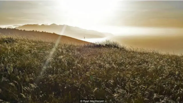 聖克魯茲島（Santa Cruz Island）的日落景色（圖片來源：Ryan MacDonald)