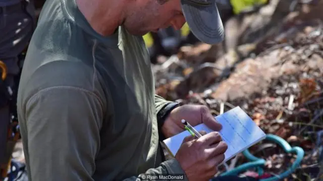 內森·梅爾林（Nathan Melling）記錄鷹喙和鷹腿的長度（圖片來源：Ryan MacDonald)