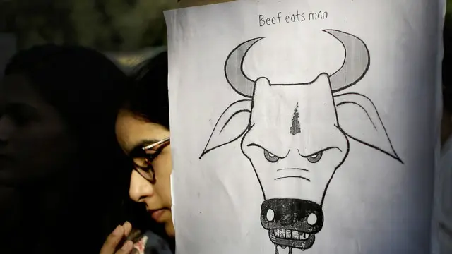 भारतका कैयौं राज्यमा गाई काट्न प्रतिबन्ध छ