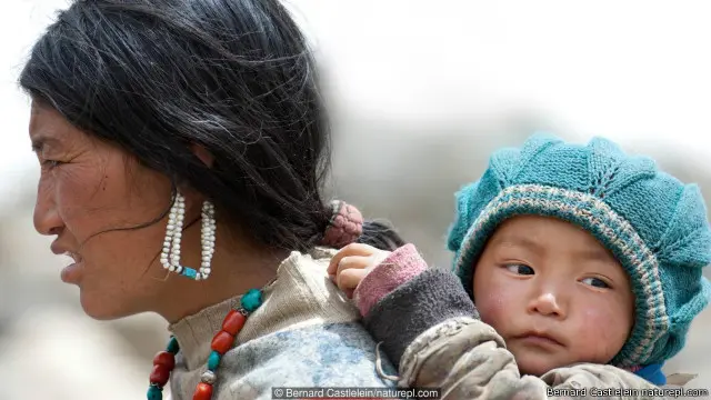 Melahirkan banyak anak memiliki dampak pada kesehatan ibu. 