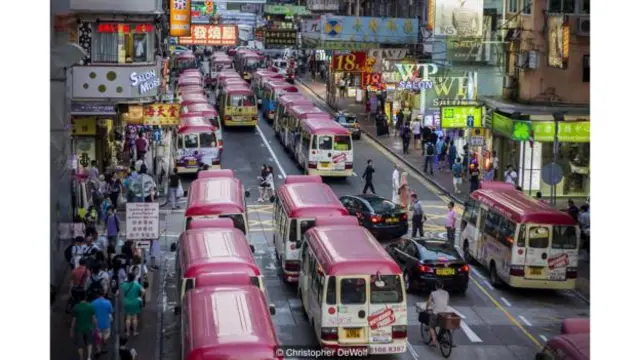 （圖片來源：克里斯托弗·德沃爾夫[Christopher DeWolf]）