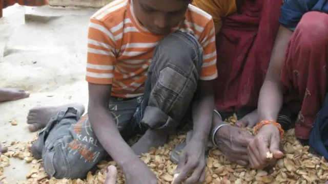 بھارت میں کئی بچے بادام چھیلنے کی فیکٹریوں میں ملازمین ہیں