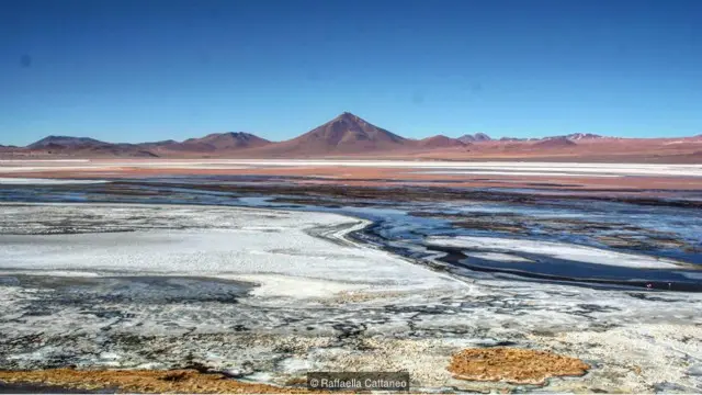 Laguna Colorada, Bolivia (Credit: Raffaella Cattaneo)