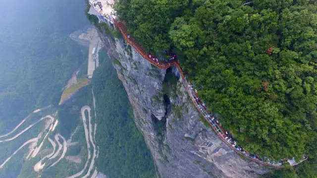 دا د ودانیزو چارو یو ډارونکی ډول دی. چین کې له ښیښې نه د پلونو جوړولو دود په ډېرېدو دی.