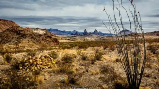 大转弯国家公园与墨西哥城市保奎拉斯(Boquillas)接壤(图片来源:波斯诺夫/盖蒂图片)
