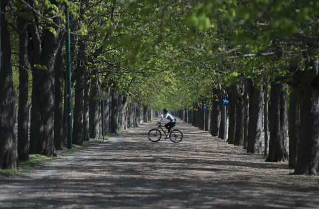  維也納的市區分佈著很多綠地(圖片來源：Getty Images )