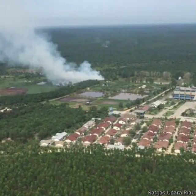 Kebakaran lahan di Kecamatan Pujud, Kabupaten Rokan Hilir, Riau, Senin (08/08).