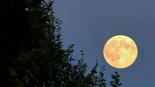 Menjelang bulan purnama rata-rata mimpi orang semakin mengerikan dan melibatkan 'kekerasan'.