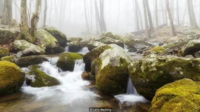 仙纳度国家公园里面到处是受保护的荒野区（图片来源：拉里·布雷博格）