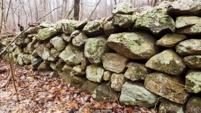 堆砌的岩石可以表明这里以前是个农庄（图片来源：拉里·布雷博格）