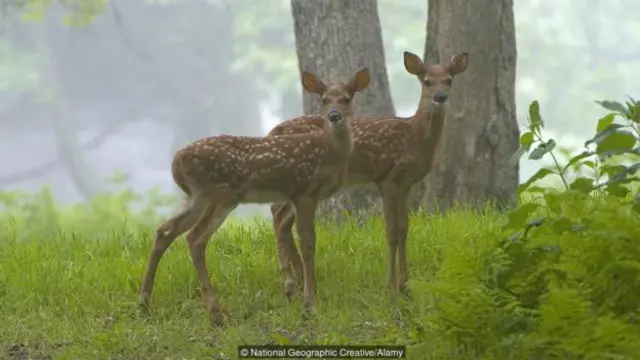 “我们能拥有仙纳度国家公园是件伟大的事情”（图片来源：国家地理创意部/阿拉米 [Alamy]）