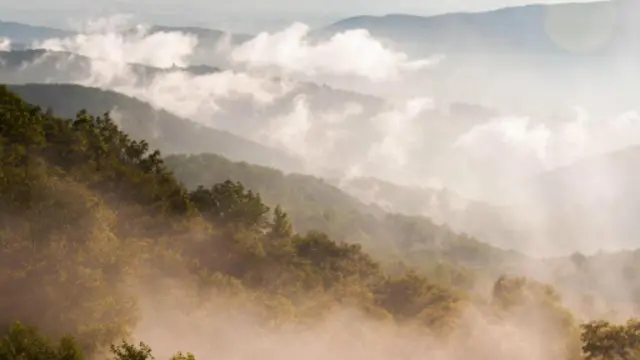 在仙纳度国家公园中人们会不知不觉地废弃的建筑物旁经过（图片来源：拉里·布雷博格 [Larry Bleiberg]）