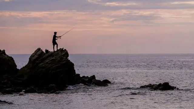 Pemerintah mengatakan 18 orang tewas dalam 10 tahun.