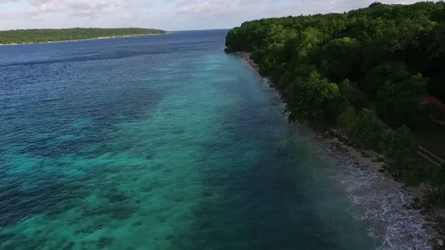 Populasi buaya di alam mengalami peningkatan