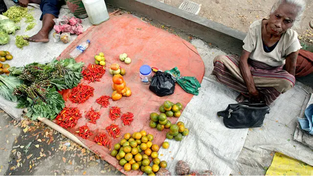 Alimlər Şərqi Timor kimi nəsilartırma reytinqi yüksək olan ölkələr öyrənirlər.