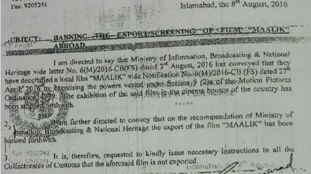 فلم میں سندھ کے وزیرِ اعلیٰ کو جرائم میں ملوث دکھایا گیا تھا جسے اس کا اپنا محافظ آخر میں قتل کردیتا ہے