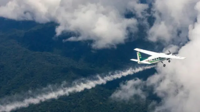 （图片来源：Getty Images）