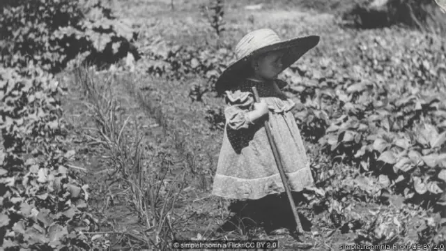 Budaya menjadi faktor penting bagi seseorang untuk mengingat masa bayinya.