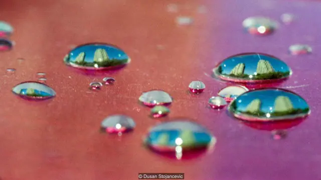 East Gate di Belgrade.