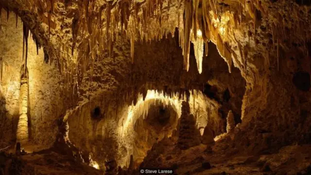 1930 年卡爾斯巴德洞窟成為一座著名的國家公園（圖片來源：史蒂夫·拉列斯)