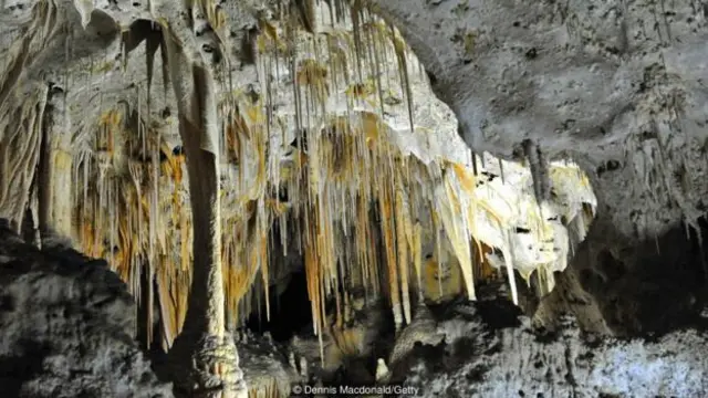 卡爾斯巴德洞窟國家公園已知有 119 座洞穴（圖片來源：丹尼斯·麥克唐納/蓋蒂圖片社）
