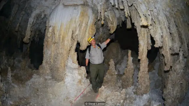  霍羅克斯已經從事洞穴管理專家工作 24 年（圖片來源：史蒂夫·拉列斯)