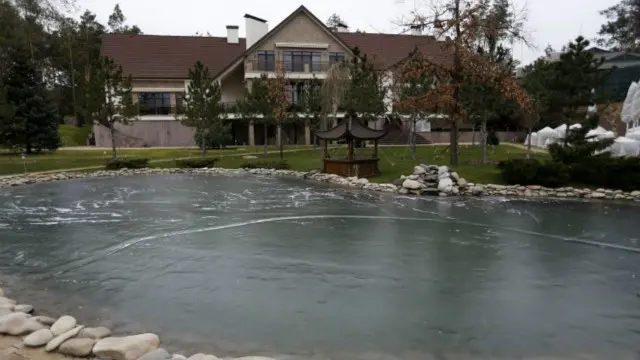 Посадовців і надалі не можна буде притягти до відповідальності за те, що вартість їх маєтків не відповідає їх офіційним доходам?