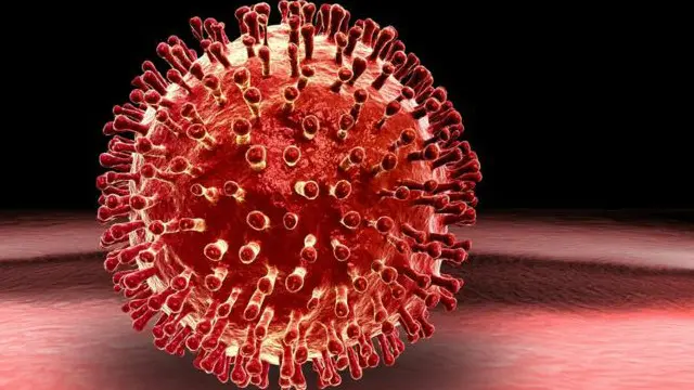 Virus được cho là 'thế lực' có khả năng kế thừa Trái Đất, ngay cả khi đa số các loài động vật khác đã bị tuyệt diệt